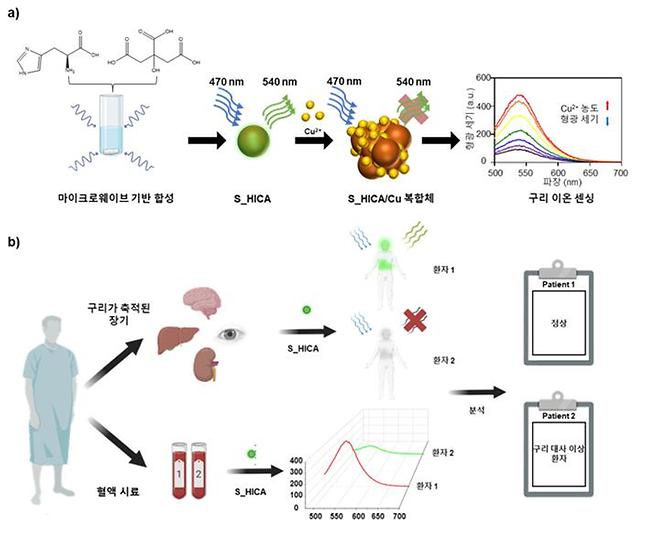 나건·강민호 교수팀, 황 도핑 탄소점 활용한 생체 내 구리 이온 감지 기술 개발