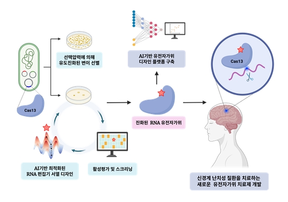 의과대학 김영광 교수팀, 신경계 난치병 치료의 새로운 길 연다! 