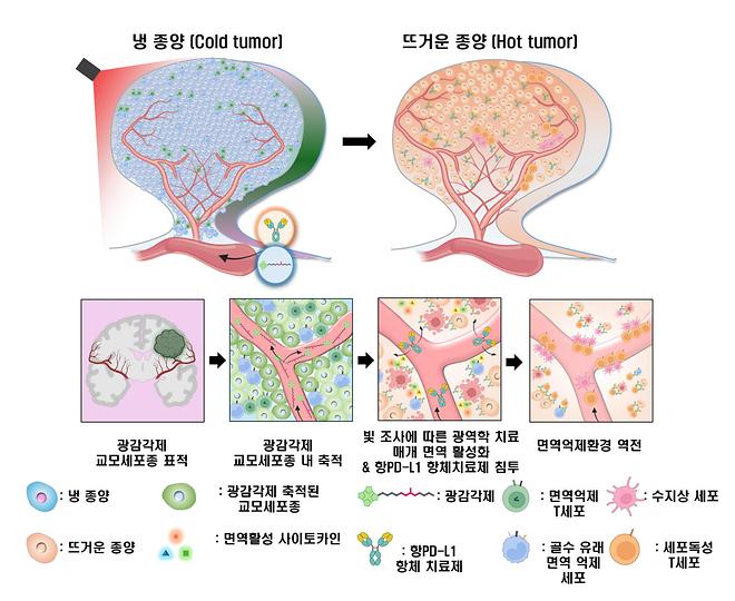 Professor Seokmin Kim’s Team Develops World’s First Air-Stable....