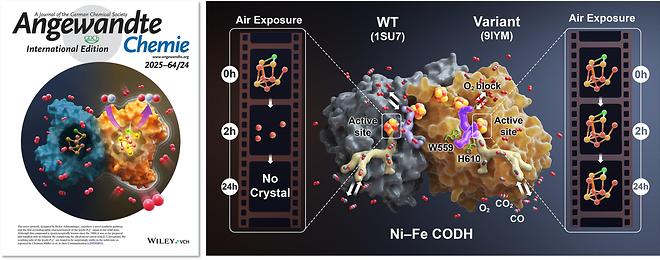 Professors Geon Na and Shinsoo Jeon Collaborate with NBR Co., Ltd. to Develop a Photoimmuno-....