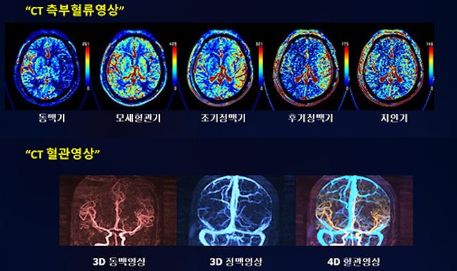 가톨릭대학교 의과대학 김현정 교수, 2025 보건의료 R&D 우수성과 30선 선정 