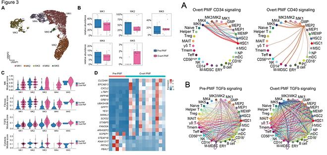 Professor Yeon-Jun Jung’s Joint Research Team Reveals the Progression of Rare Blood Disease, Myelofi