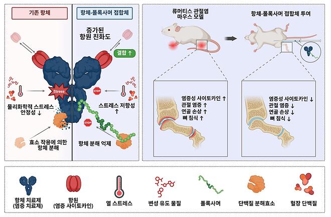 Professor Na Geon’s Team at The Catholic University of Korea Develops “Bio-better” Technology to Imp