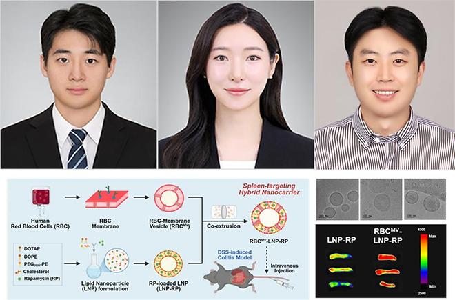 김한영 교수팀, 인간 적혈구 기반 비장 표적 생체모사 나노면역치료 플랫폼 개발