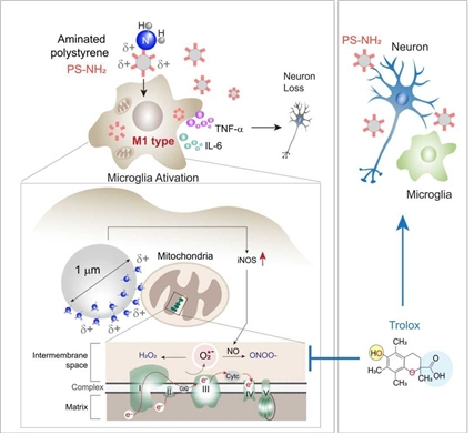  Professor Seung-Ah Yoo’s Team (Catholic University College of Medicine) First to Identify the Cause