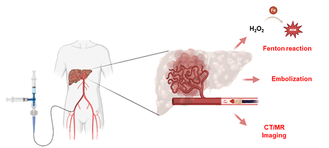 CUK Prof. Kun Na’s Team Develops Dual-Action Hydrogel for Liver Cancer Imaging & Therapy