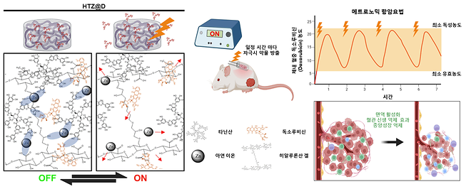 가톨릭대 나건·김경섭 교수팀, 전기 자극으로 항암제 방출 정밀 조절하는 지능형 하이드로겔 개발