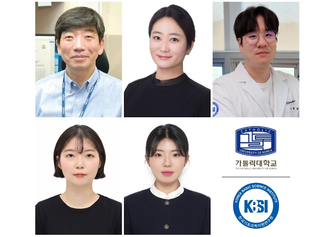 가톨릭대-KBSI 공동 연구진, 세포 운명 결정하는 자가포식 핵심 원리 규명